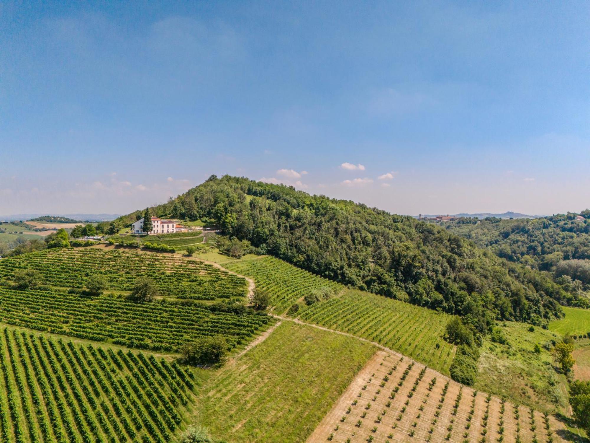 Villa Rocco Country House Ozzano Monferrato Dış mekan fotoğraf